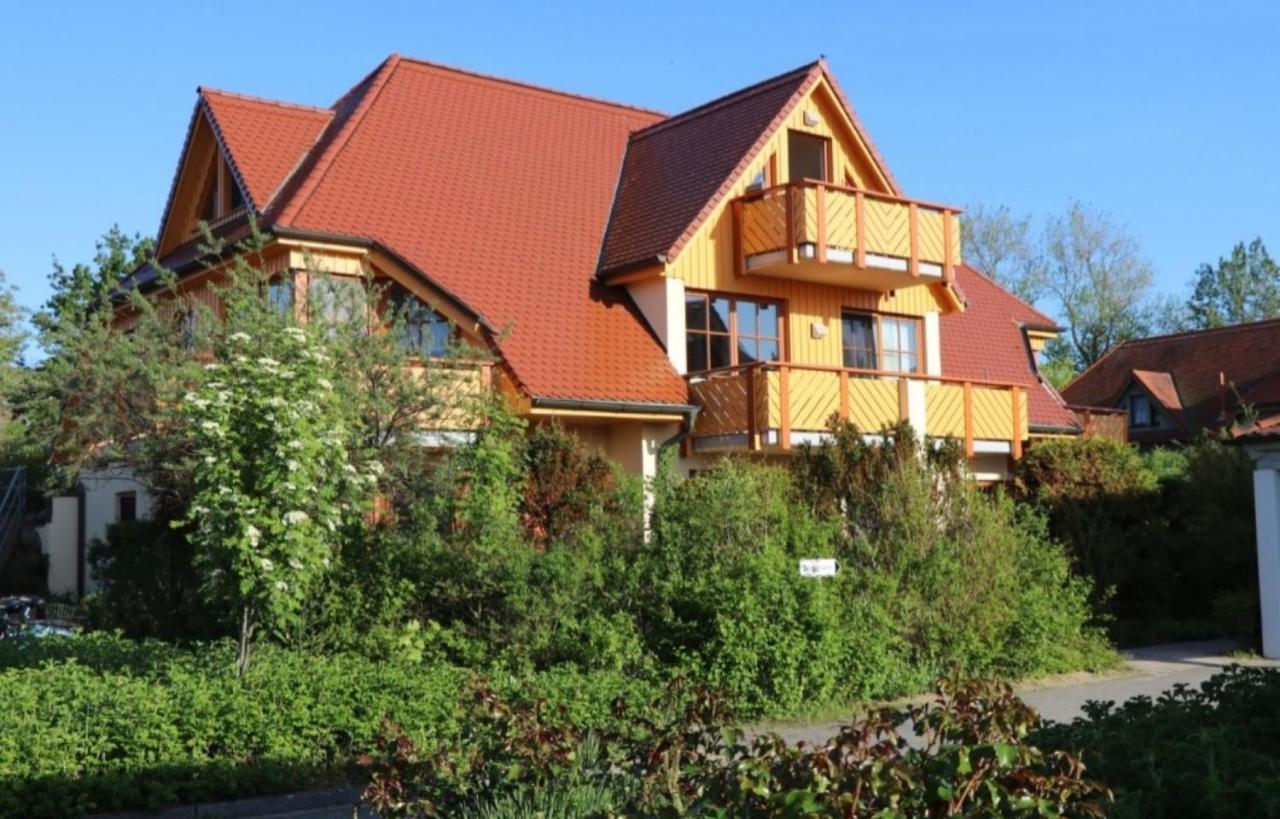 Oewern Diek Wustrow  Exteriér fotografie